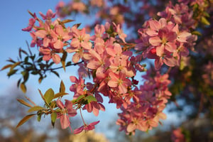 Zeiss Loxia 35mm f2 Sample Image (10)