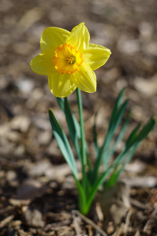 Zeiss Loxia 50mm f2 Sample Image (9)