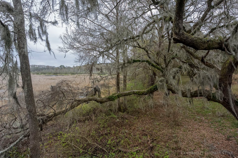 brookgreen image 14 brookgreen image 14