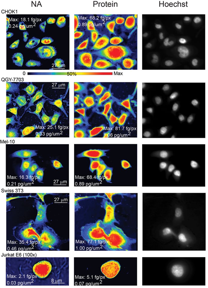 mcc_04_allcells