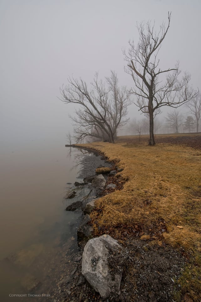 river fog tamron image 3