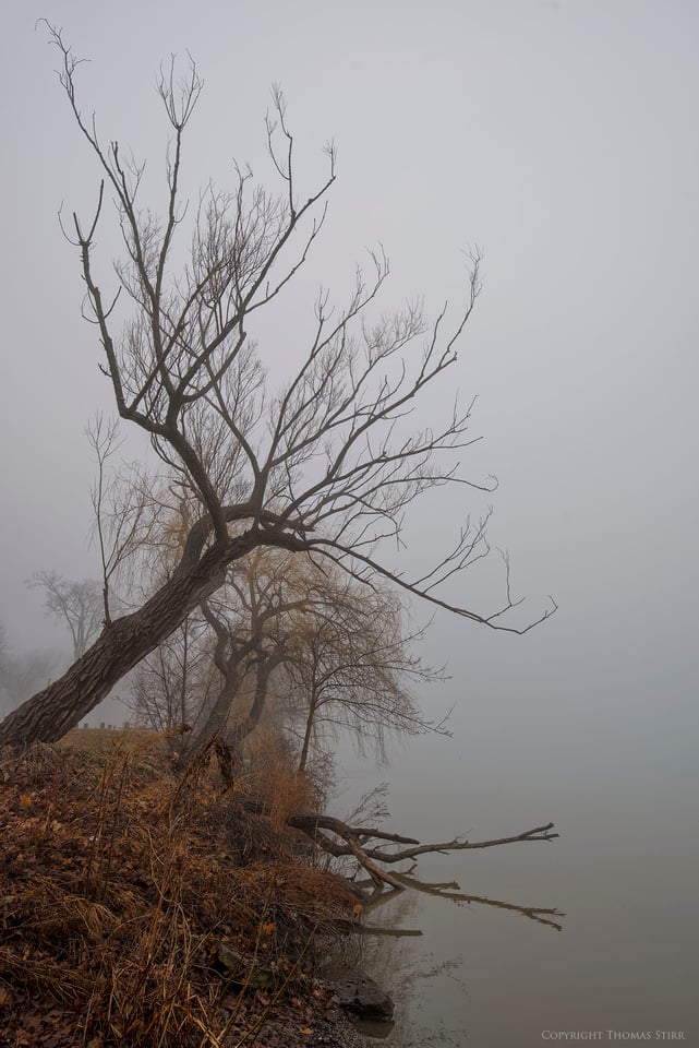 river fog tamron image 4