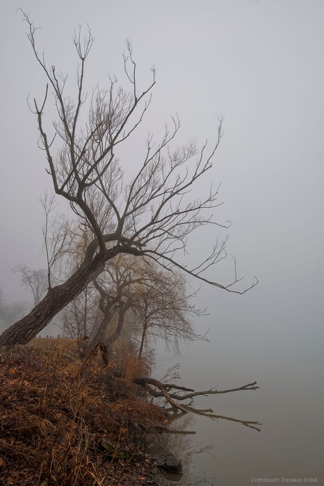 river fog tamron image 4 river fog tamron image 4
