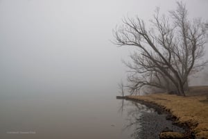 river fog tamron image 5