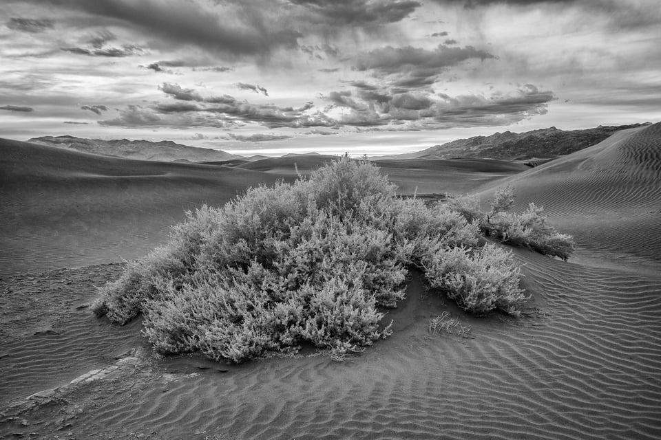 Death Valley Infrared (4)