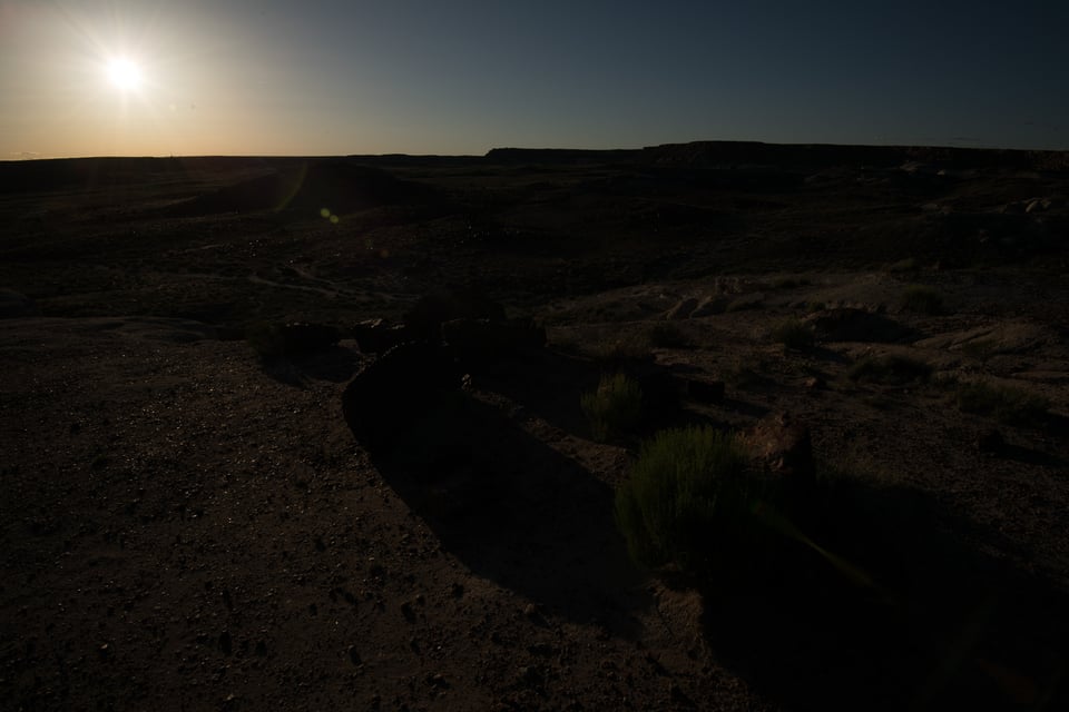 Verm-12-bit-Petrified-Forest-9113 Verm-12-bit-Petrified-Forest-9113