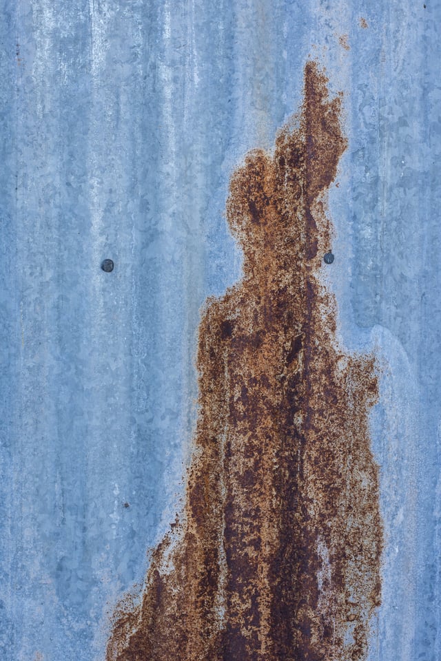 Verm-rust-BANWR-4869 Verm-rust-BANWR-4869