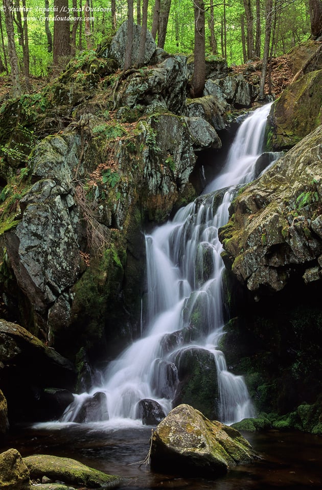 Goldmine Brook Falls