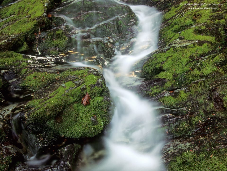 Race Brook Falls