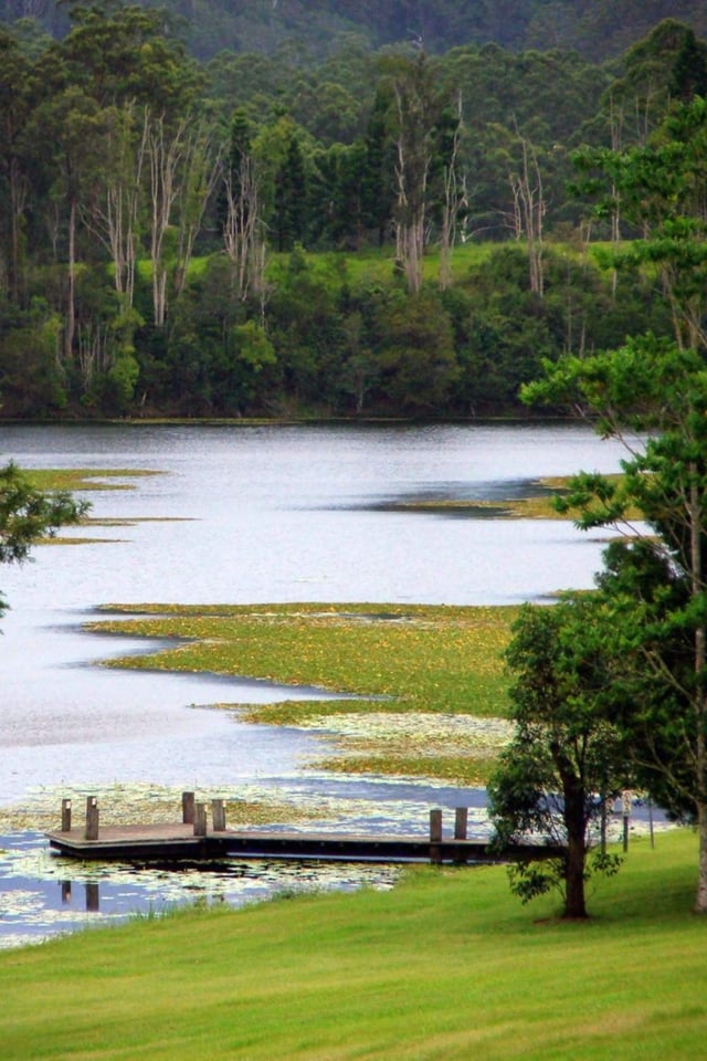 Clarrie Hall Dam #2