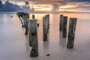 Old Naples Pier Pilings