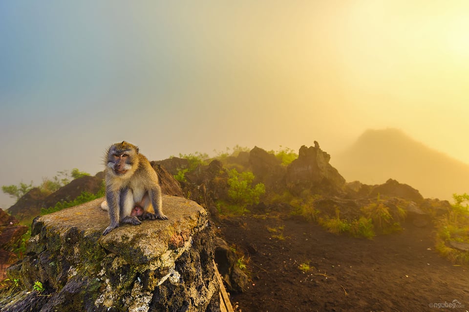 Mount Batur #4