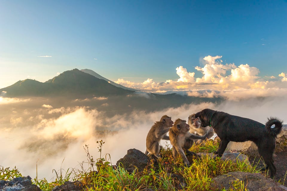 Mount Batur #3