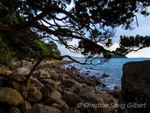 Cloudy morning stingray bay