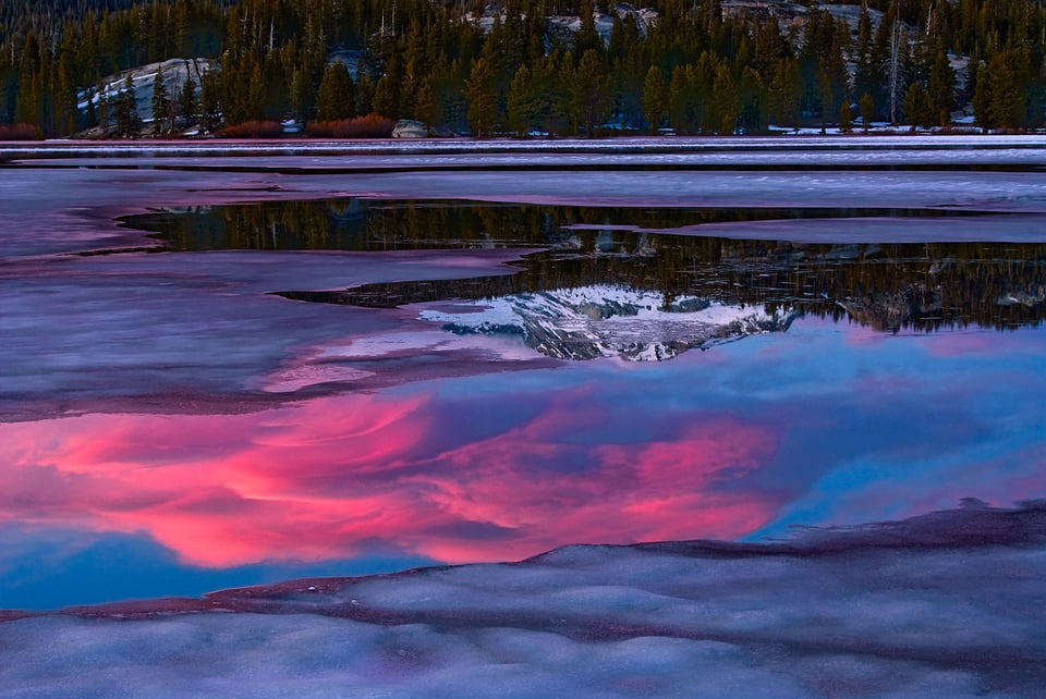 Tuolumne Meadows #6