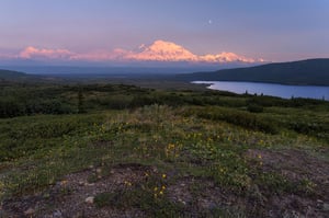 Reflection Pond, Denali National Park #1