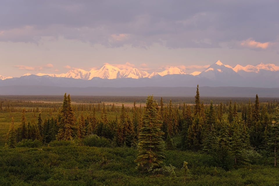 Reflection Pond, Denali National Park #4