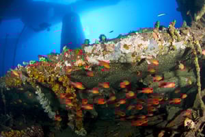 Mariana Platform #1