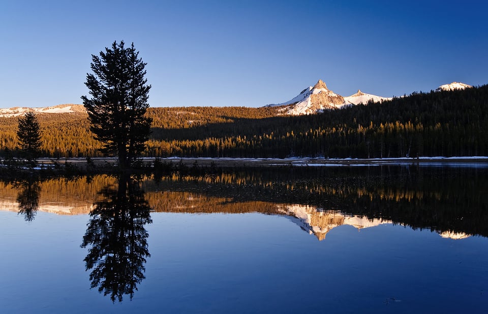 Tuolumne Meadows #5