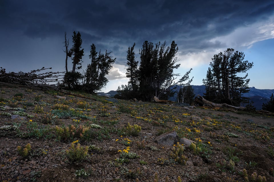 Round Top Lake, Mokelumne Wilderness #5