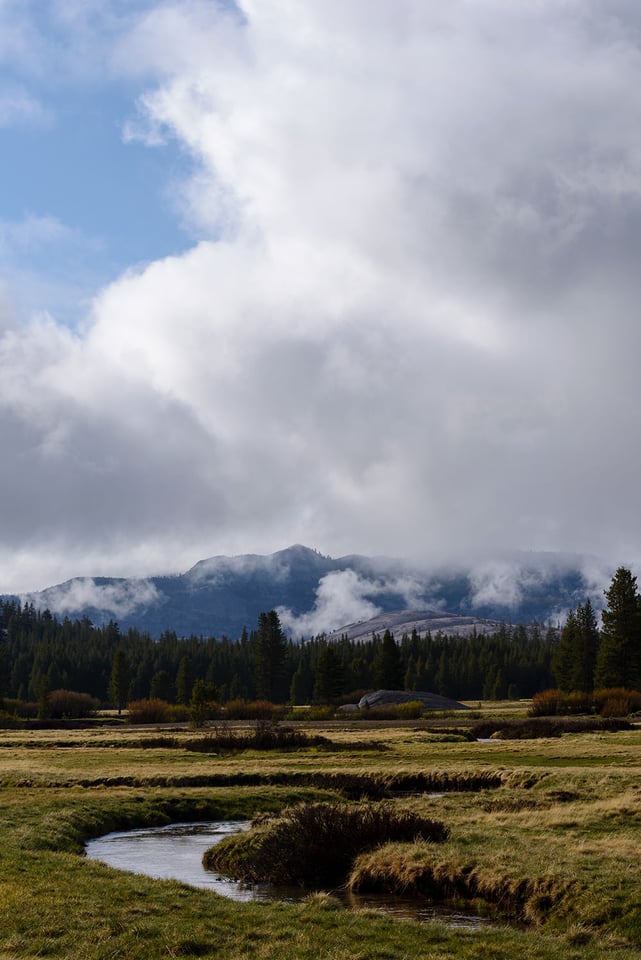 Tuolumne Meadows #2