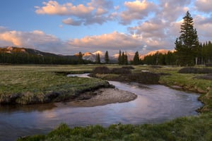 Tuolumne Meadows #1