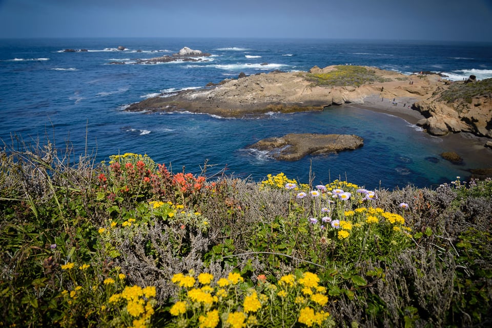 Point Lobos State Reserve #2