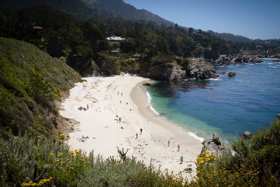 Point Lobos State Reserve #6