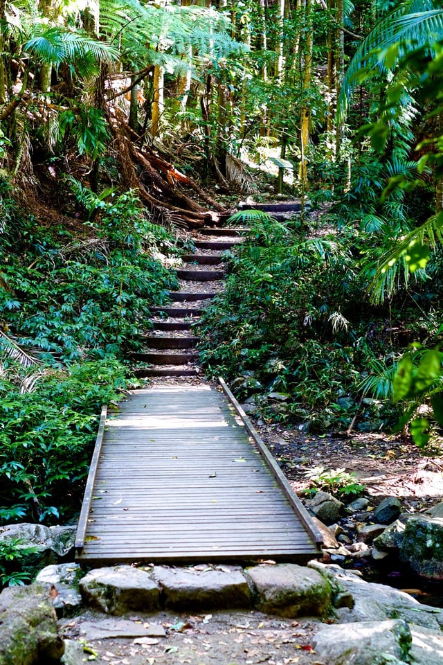 Wollumbin - Mount Warning #2