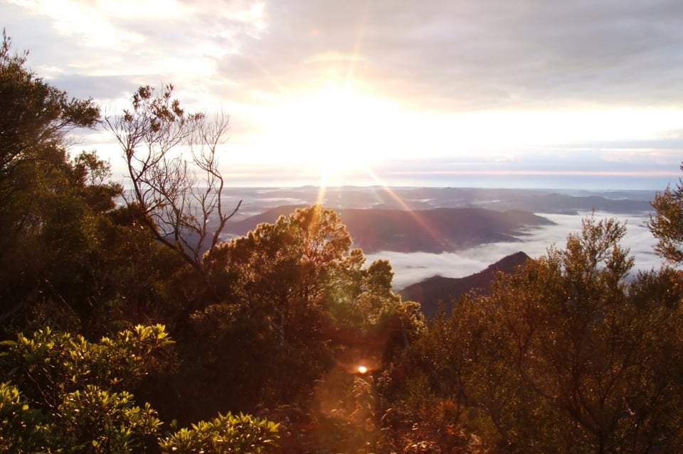 Wollumbin - Mount Warning #6