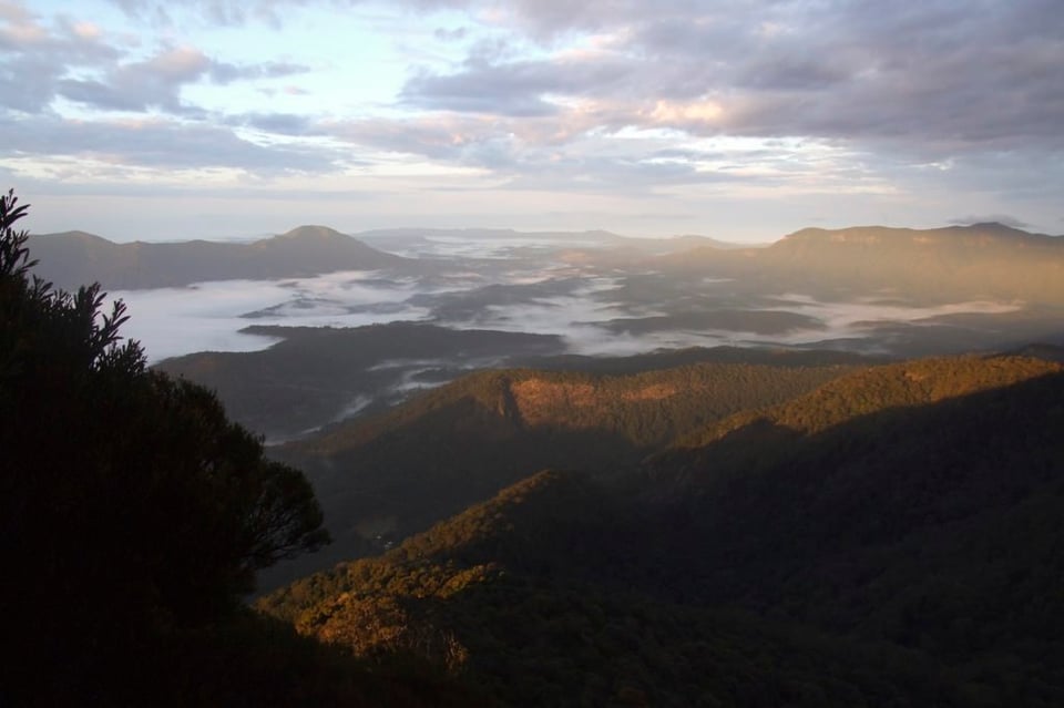 Wollumbin - Mount Warning #4