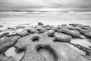 Marineland Rock Beach