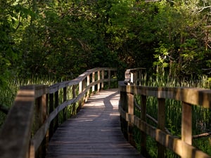 Toogood Pond Park #2