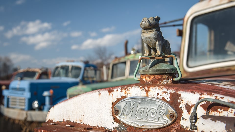 Antique Truck Graveyard #4