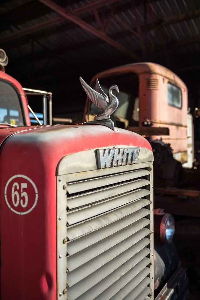 Antique Truck Graveyard #2