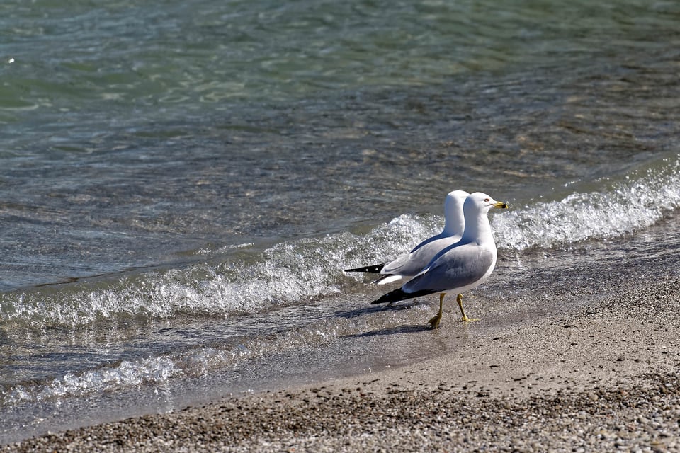 Lake Ontario Waterfront Parks #2