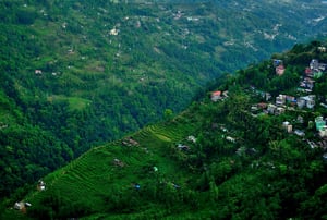 Gangtok #5