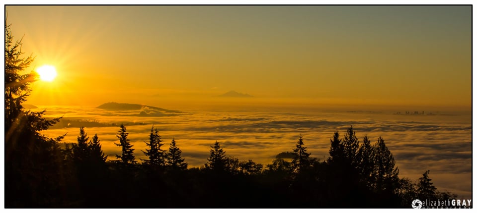 Cypress Mtn Viewpoint #4