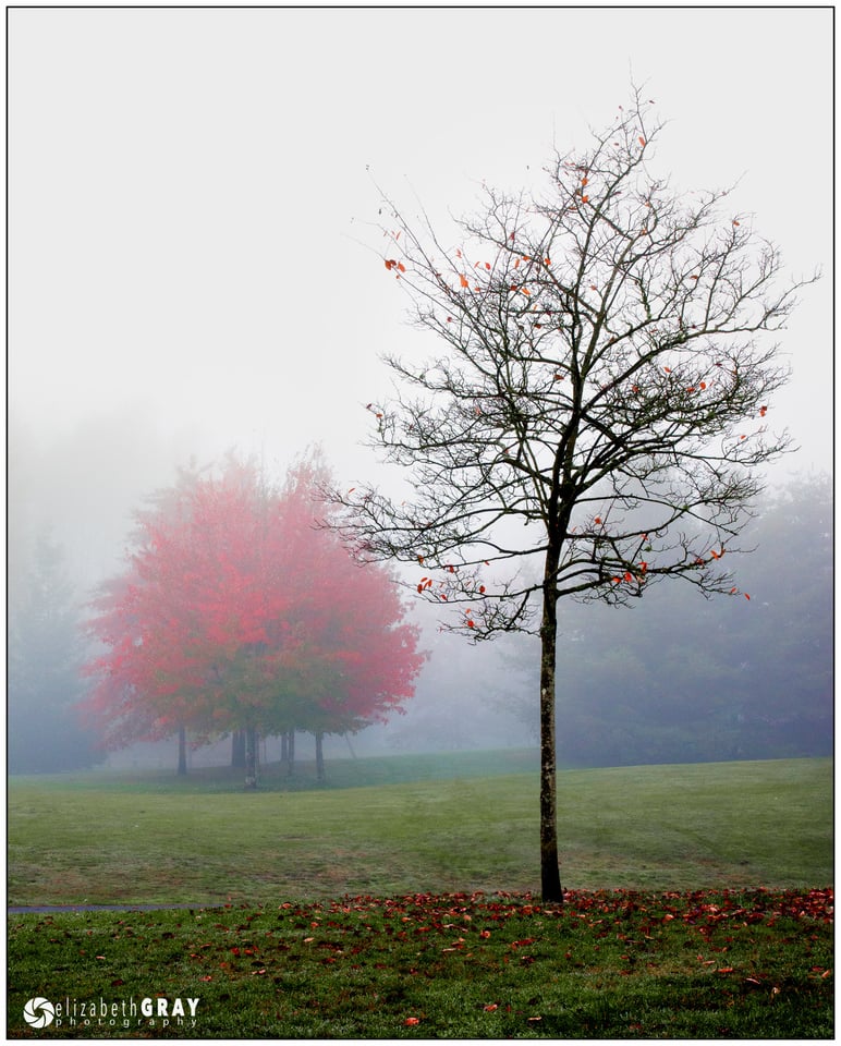 Lafarge Lake, Town Centre Park #2