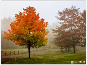 Lafarge Lake, Town Centre Park #1