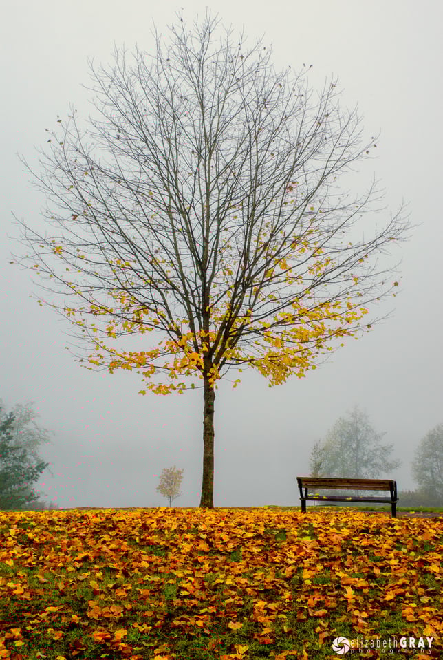 Lafarge Lake, Town Centre Park #3