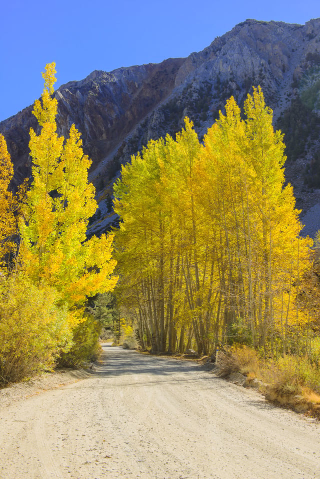 North Lake - Sabrina Basin #3