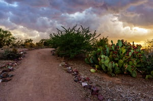 Haboob at Sunset