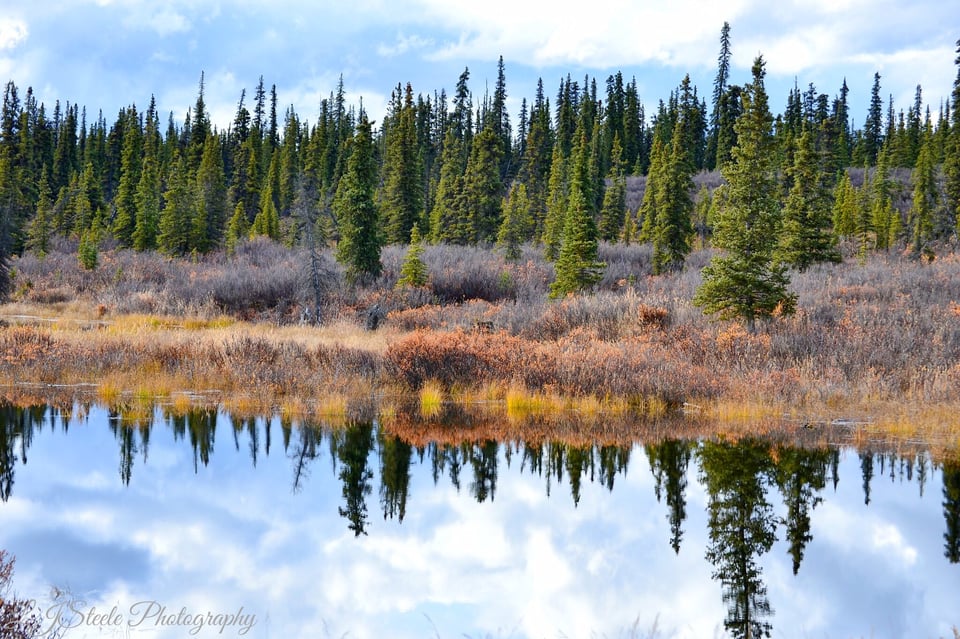 The colors of fall, many glacier feed pond, streams and lakes.