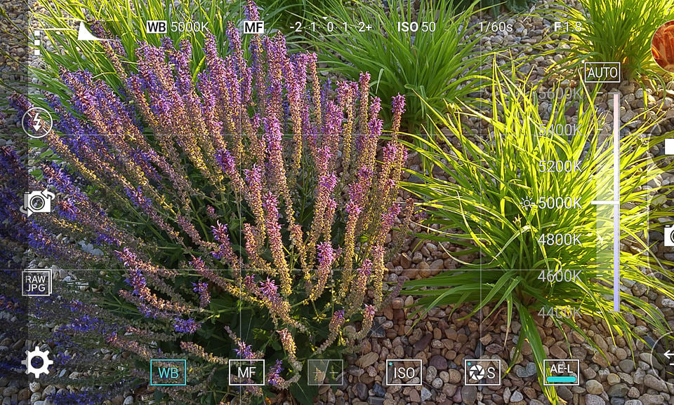 LG G4 Manual White Balance