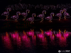 Bellingrath Gardens #1
