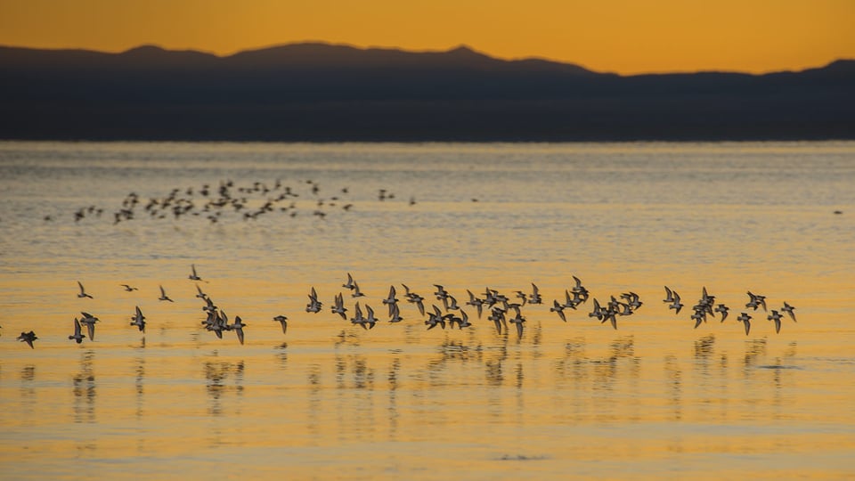 Mono Lake, South Tufa #4