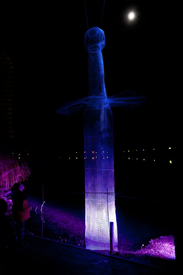 Fêtes des Lumières #2