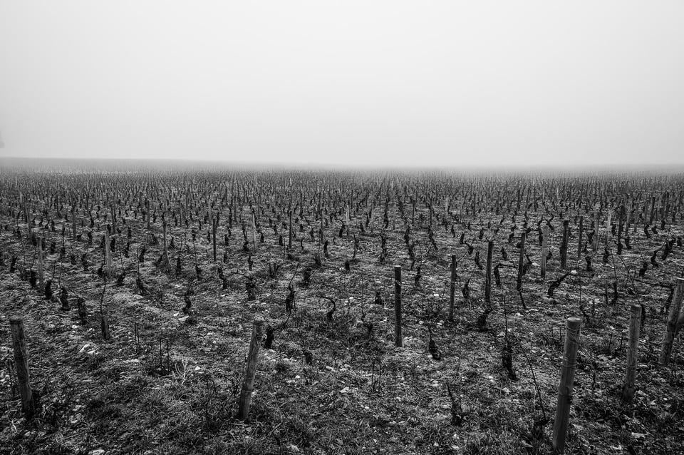 Hospices de Beaune #4