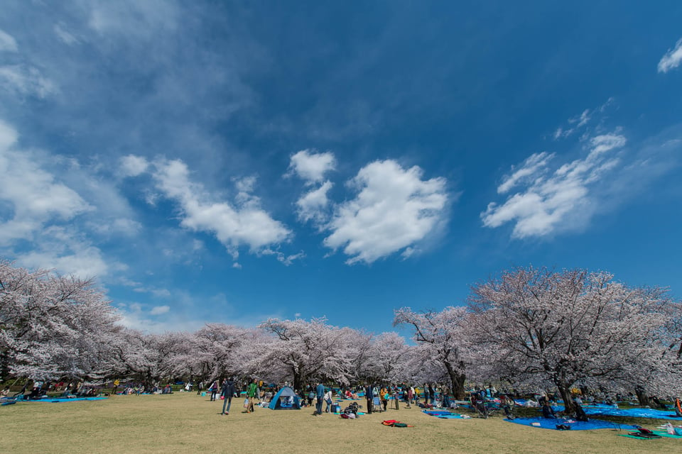 Showa Kinen Park #3